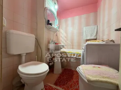 Apartament cu 2 camere, de vanzare, zona Dambovita, Timisoara - foto 9