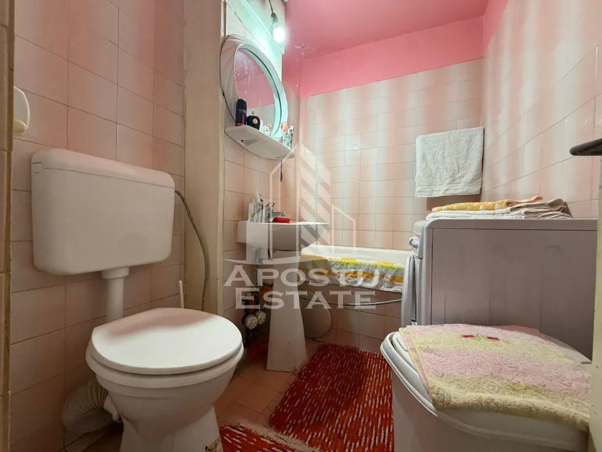 Apartament cu 2 camere, de vanzare, zona Dambovita, Timisoara - foto 9