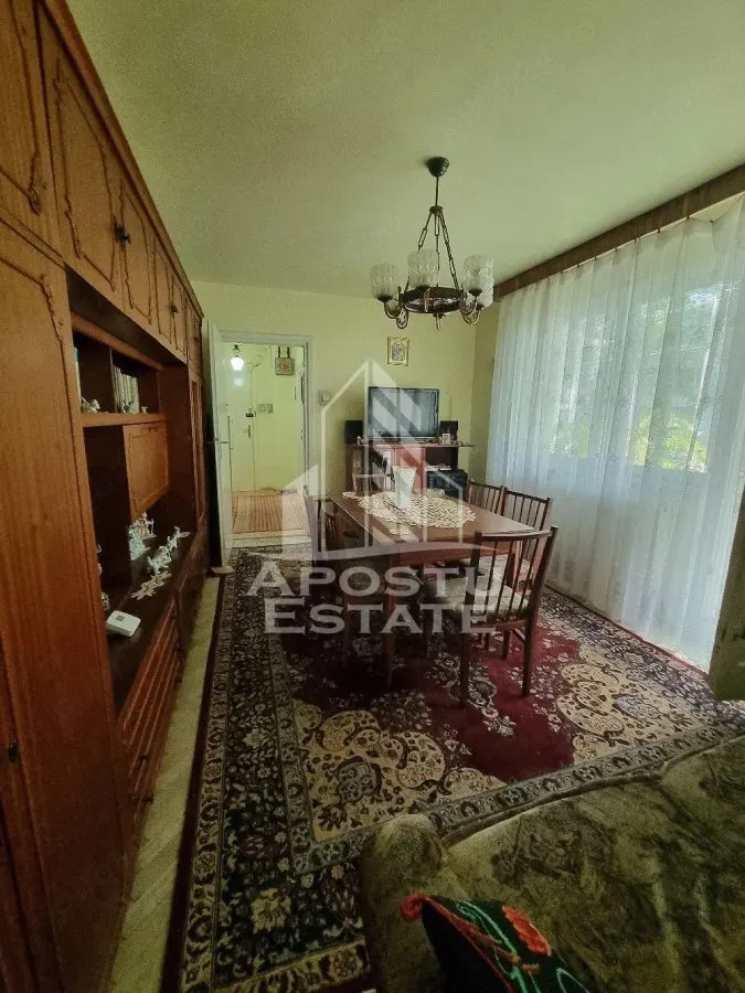 Apartament cu 3 camere, de vanzare, zona Sagului, Timisoara - foto 1