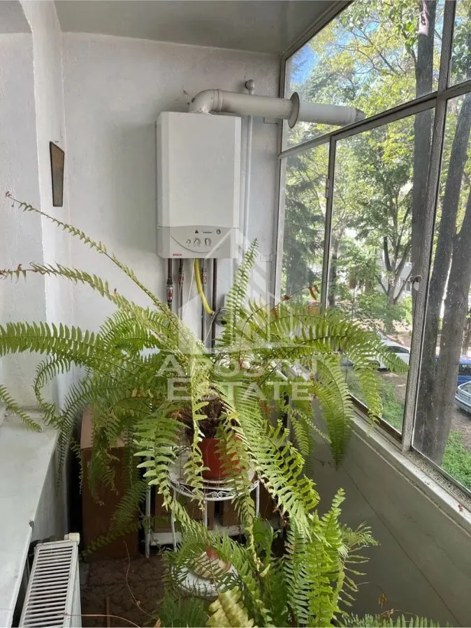 Apartament cu 3 camere, de vanzare, zona Sagului, Timisoara - foto 9