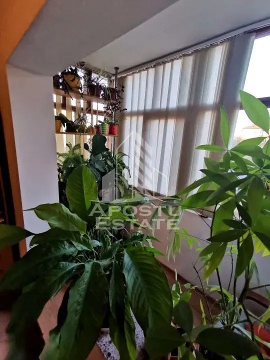 Apartament cu 3 camere de vanzare, 2 bai, zona Dambovita, Timisoara - foto 8