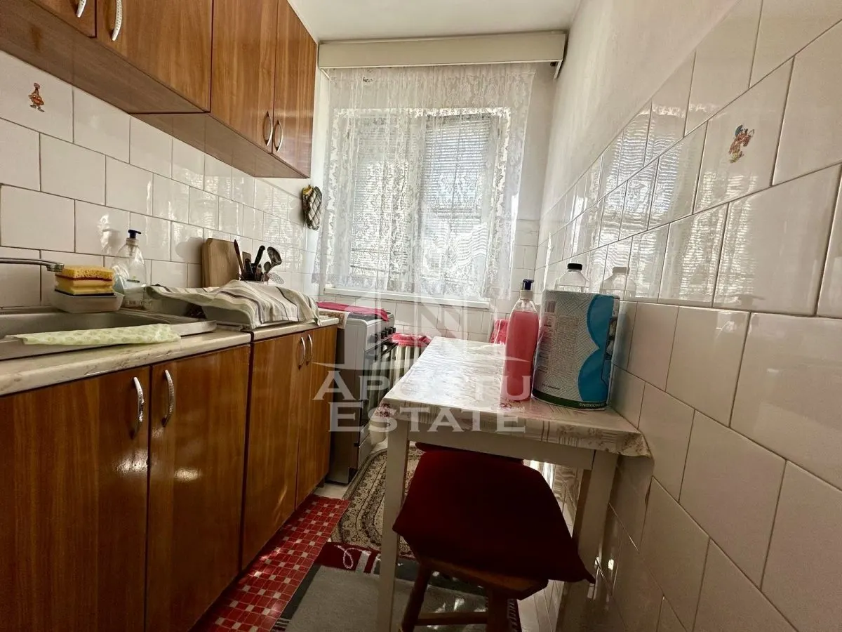 Apartament cu 2 camere de vanzare, zona Spitalului Judetean, Timisoara - foto 3