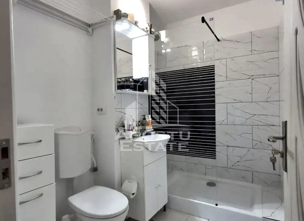 Apartament 2 camere de vanzare, zona Dambovita, Timisoara - foto 3