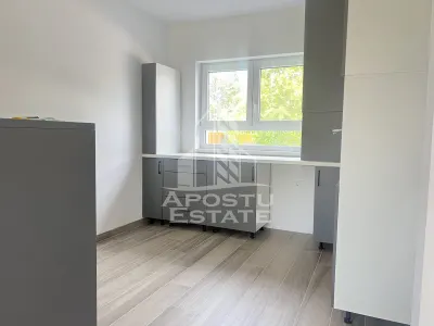 Insiruire de case cu 4 camere, de vanzare, P+E, in Sanandrei - foto 4