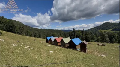Teren 5ha in Munții Rarau - Campulung Moldovenesc