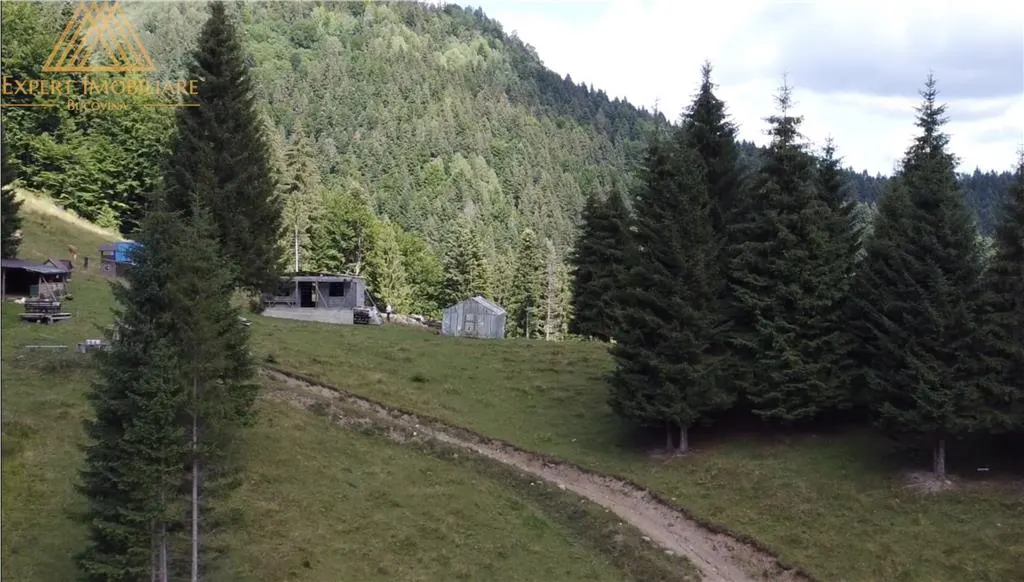 Teren 5ha in Munții Rarau - foto 2