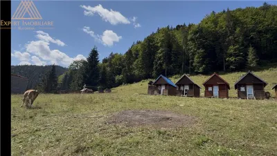 Teren 5ha in Munții Rarau - foto 12