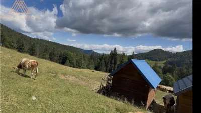 Teren 5ha in Munții Rarau - foto 15