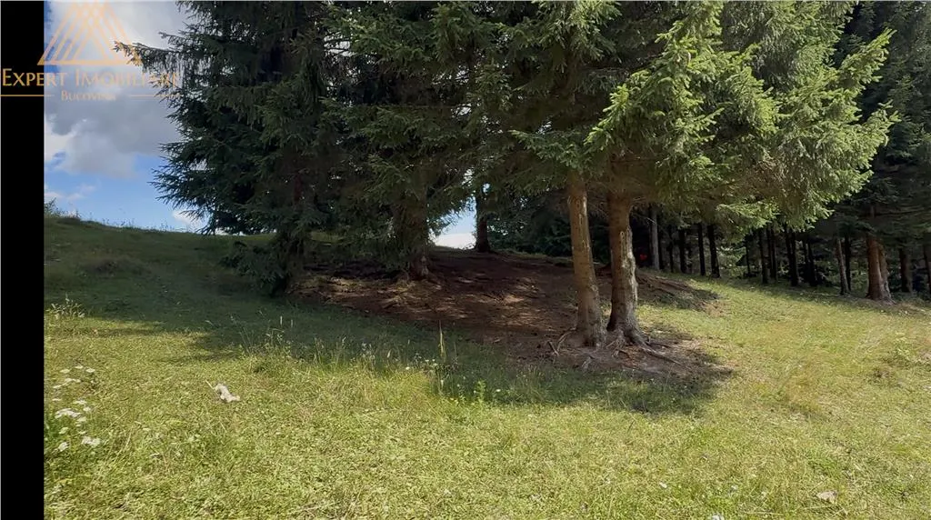 Teren 5ha in Munții Rarau - foto 18