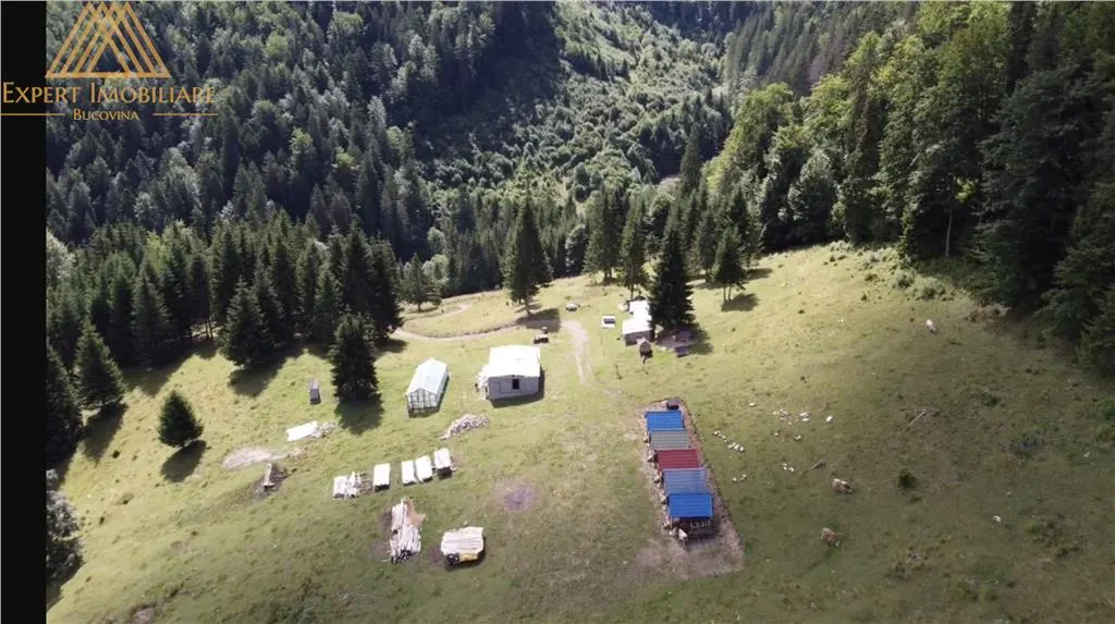 Teren 5ha in Munții Rarau - foto 4
