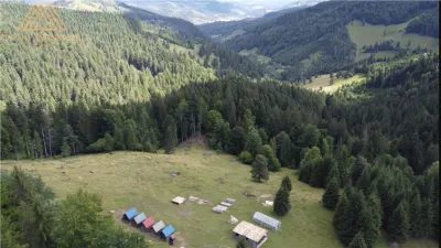 Teren 5ha in Munții Rarau - foto 6