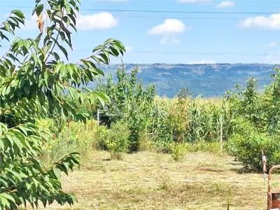 Casa 3 camere, 75 mp utili â€“ Letea Veche | Teren 250 mp - foto 7