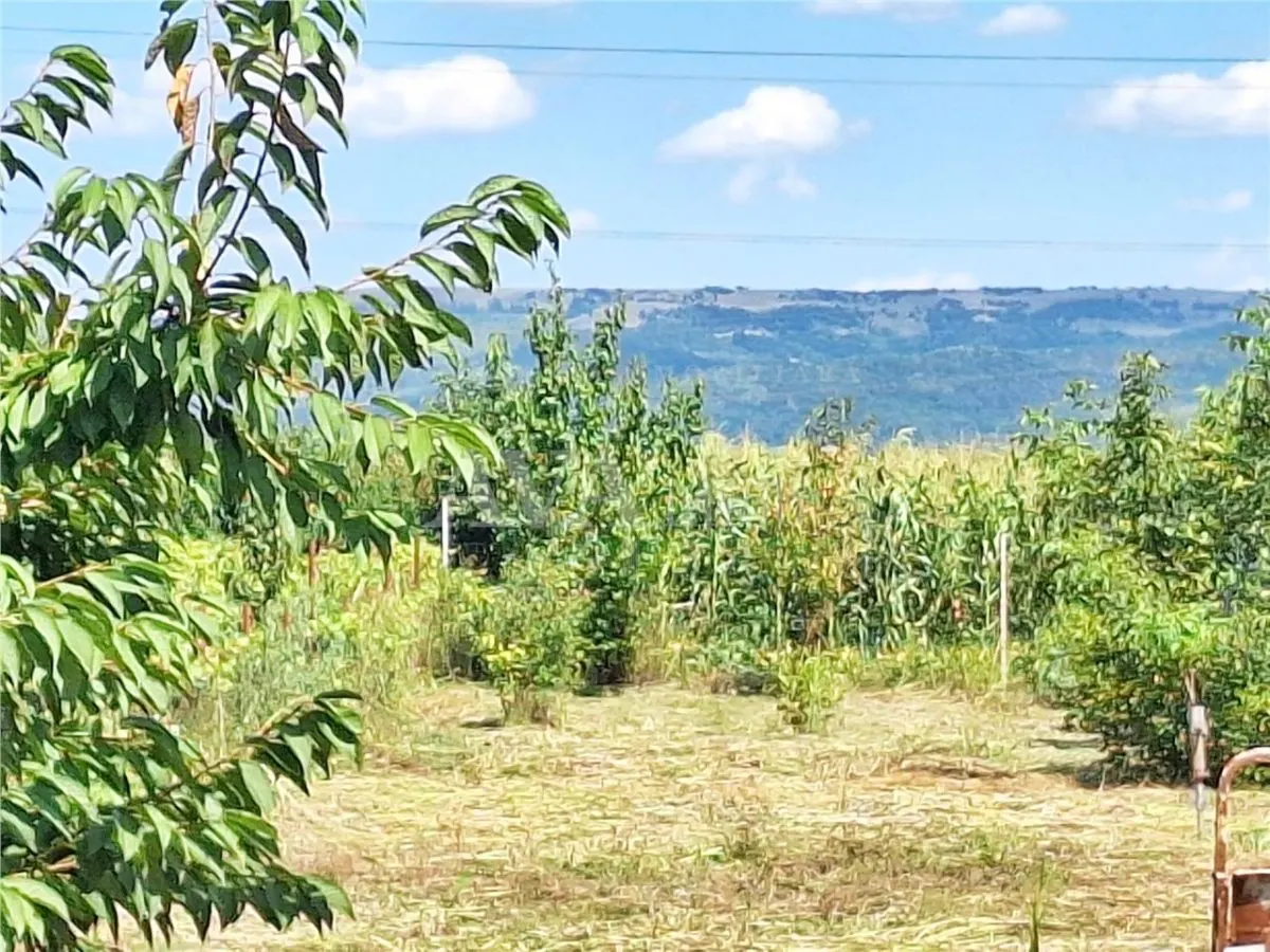 Casa 3 camere, 75 mp utili â€“ Letea Veche | Teren 250 mp - foto 7