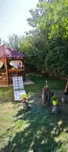 Vila individuala 5 camere Lunca Cetatuii--650 EURO - foto 20