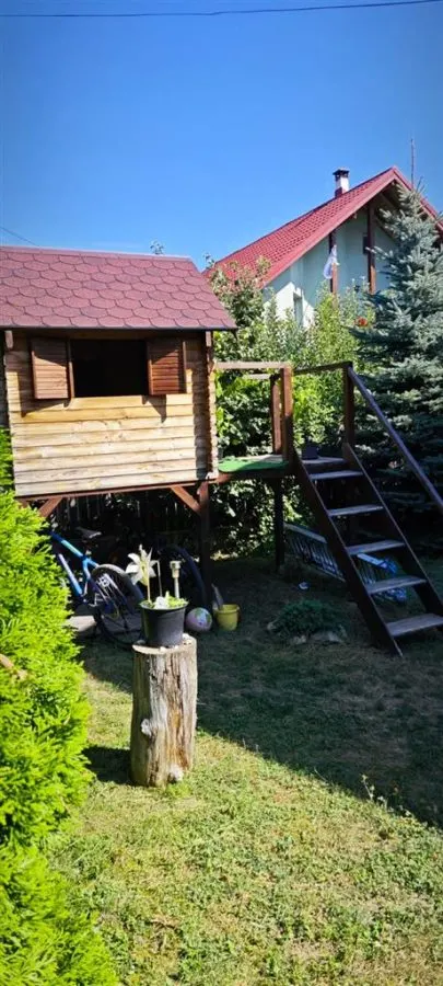 Vila individuala 5 camere Lunca Cetatuii--650 EURO - foto 21