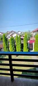 Vila individuala 5 camere Lunca Cetatuii--650 EURO - foto 24