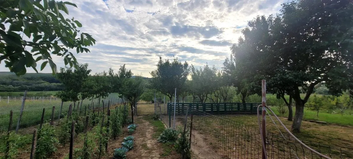 Casa+ hala,cu gradina si livada,Felecheriu,Osorhei,Bihor - foto 11