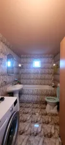 Casa+ hala,cu gradina si livada,Felecheriu,Osorhei,Bihor - foto 7