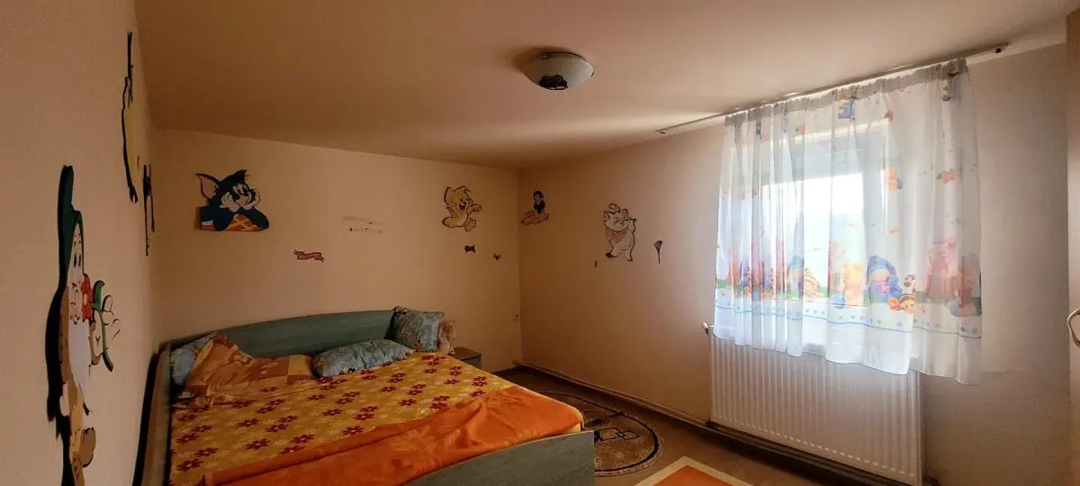 Casa+ hala,cu gradina si livada,Felecheriu,Osorhei,Bihor - foto 8