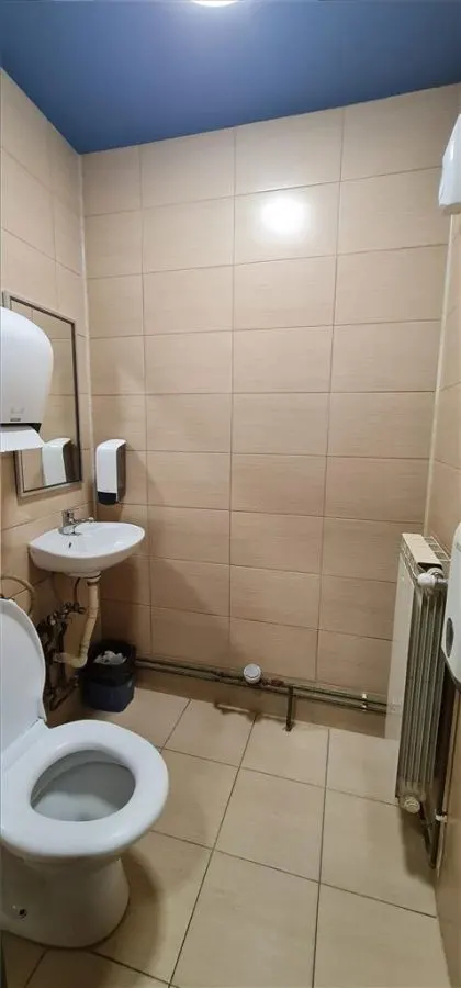 Spatiu in intersectie pe colt, Calea Aurel Vlaicu -Fortuna - foto 15