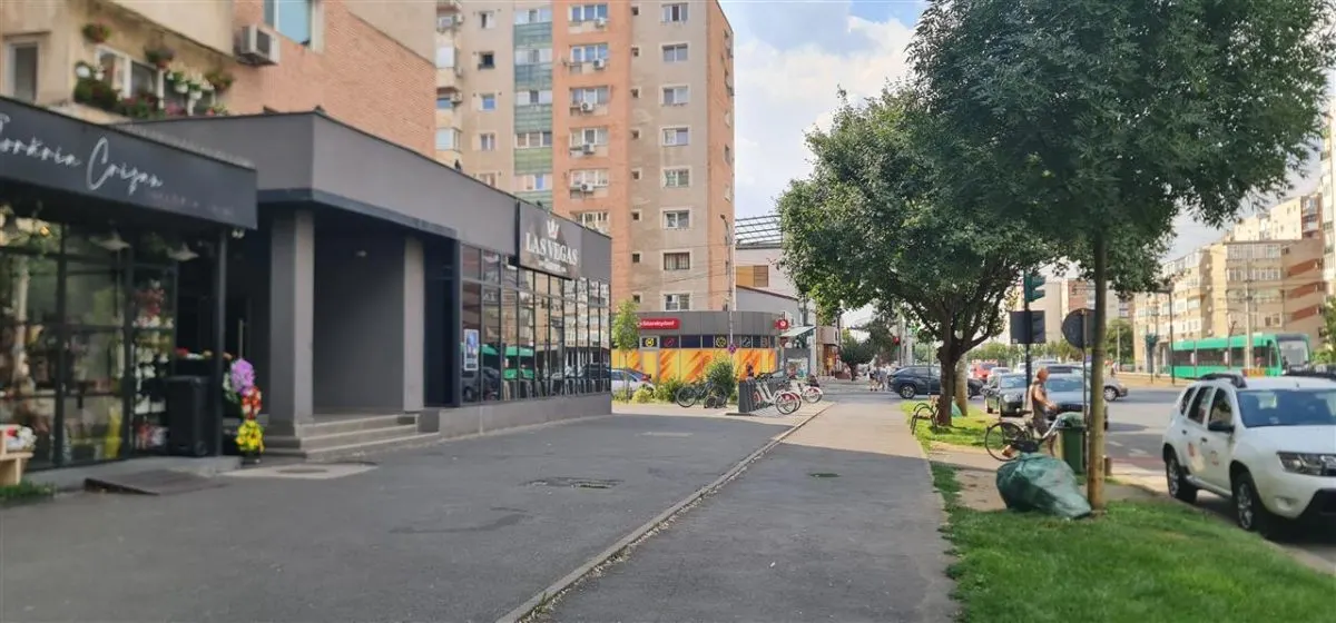 Spatiu in intersectie pe colt, Calea Aurel Vlaicu -Fortuna - foto 9