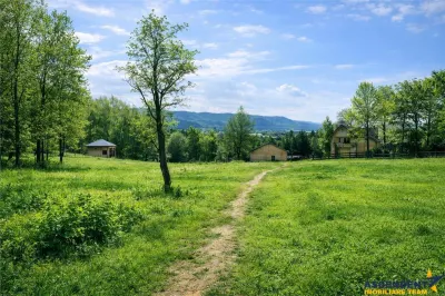 3.000mp de incantare montana cu cabana din lemn masiv, Zarnesti Tohanita - foto 3