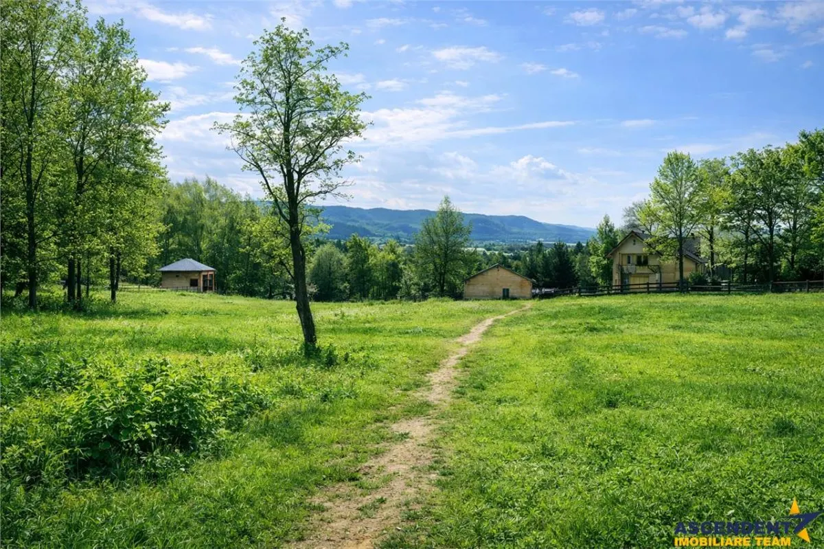 3.000mp de incantare montana cu cabana din lemn masiv, Zarnesti Tohanita - foto 3