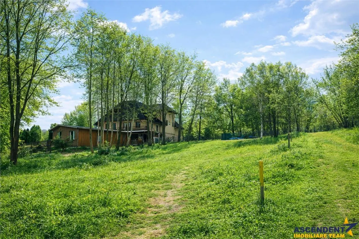 3.000mp de incantare montana cu cabana din lemn masiv, Zarnesti Tohanita - foto 7
