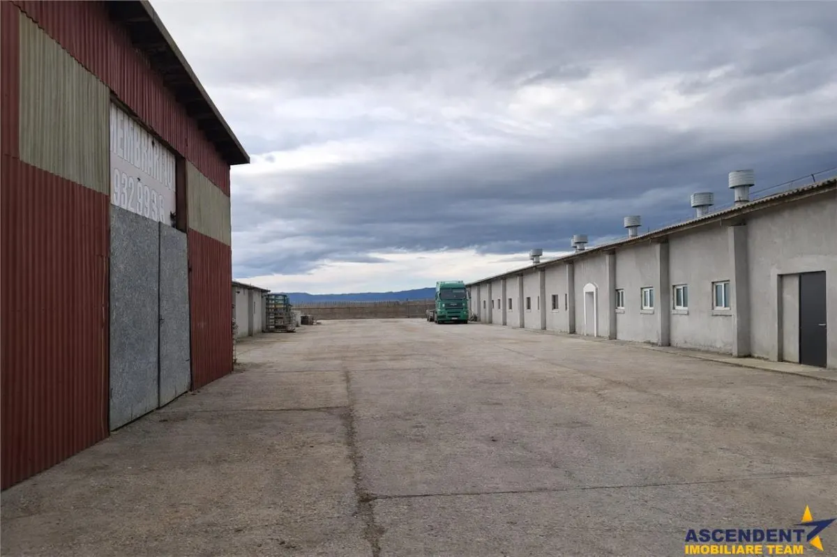 Hala industriala versatila,spatii cazare, platforma betonata,2.300 mp,Halchiu - foto 3