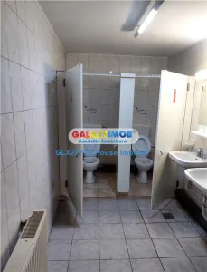 Inchiriere vila/casa  zona Timpuri Noi - foto 12