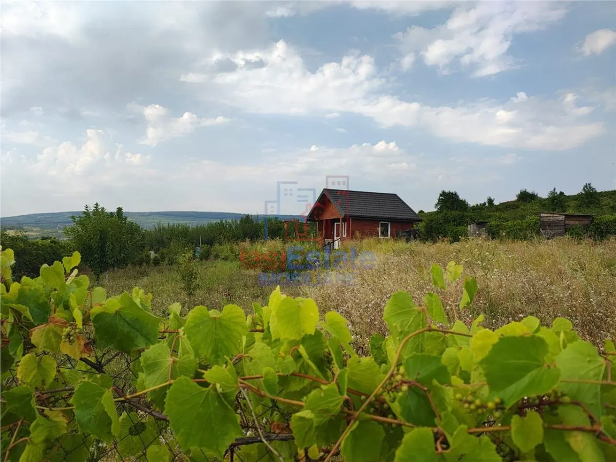 Intravilan - Tomesti - Teren si Cabana din Lemn - foto 1