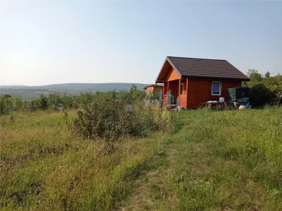 Intravilan - Tomesti - Teren si Cabana din Lemn - foto 2
