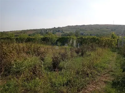 Intravilan - Tomesti - Teren si Cabana din Lemn - foto 6