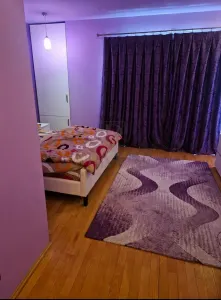 MOSNITA NOUA - CASA INDIVIDUALA - COMPLET MOBILATA SI UTILATA -ZONA EXCELENTA - foto 4