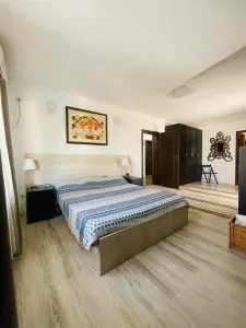 VANZARE VILA 5 CAMERE PIPERA VOLUNTARI - foto 6