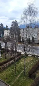 A luat avans cu credit Apartament cu 2 camere  Gemenii ,semidecomandat,parcare,83000 Euro - foto 5