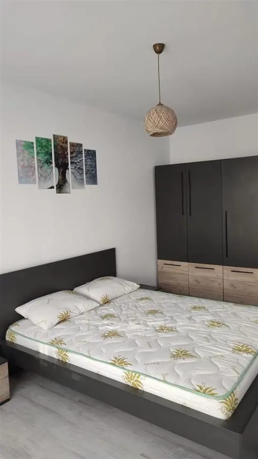 Apartament 2 camere - prima inchiriere - Antibiotice - foto 4