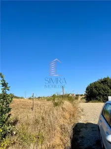 Teren de vanzare in Betfia - foto 4