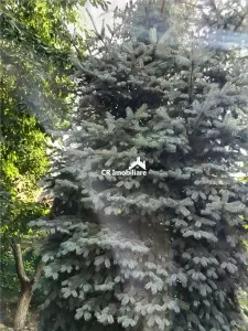 Casa confortabila aproape de Bucuresti - foto 9