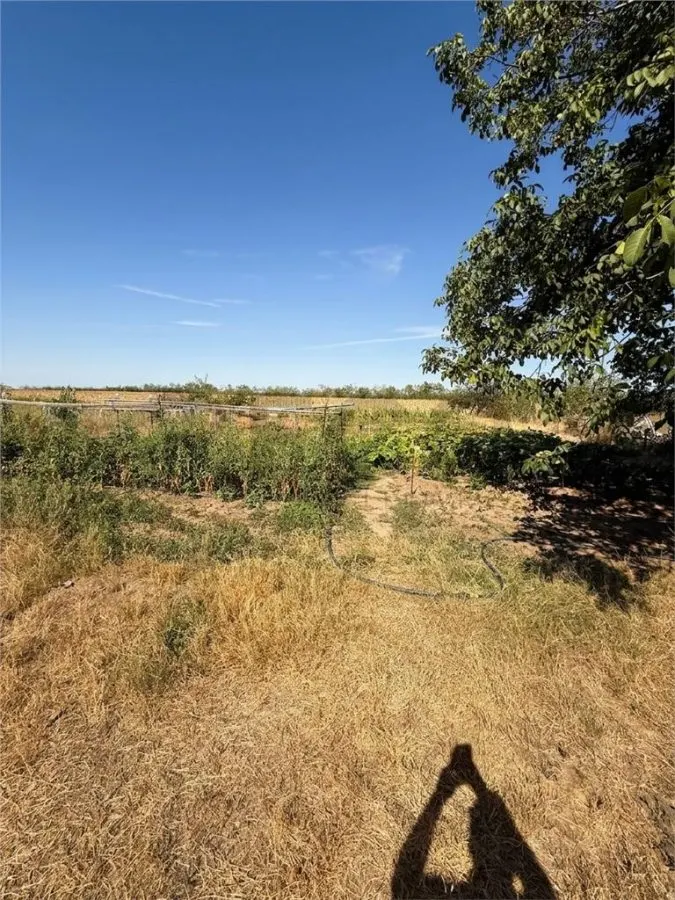 RECO Casa de vanzare in Gepiu, teren 1.439 mp - foto 11