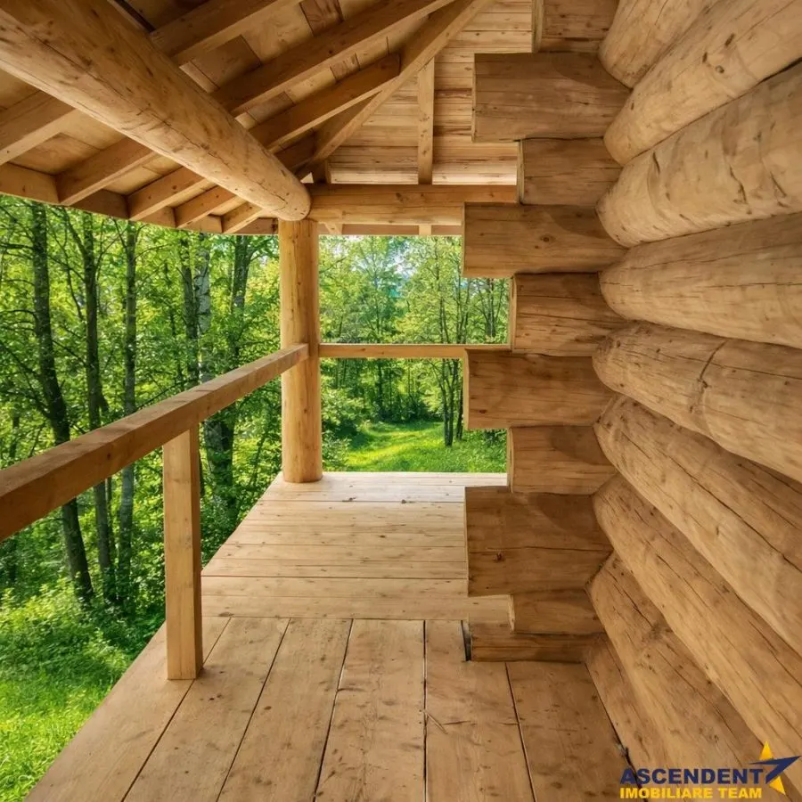 3.000mp de incantare montana cu cabana din lemn masiv, Zarnesti Tohanita - foto 1