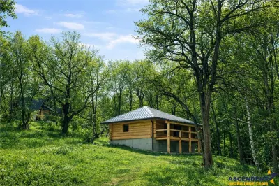 3.000mp de incantare montana cu cabana din lemn masiv, Zarnesti Tohanita - foto 2