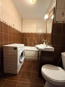 Pacurari - Petrom , apartament 1 camera , etaj 2, bloc cadre 1989 - foto 11