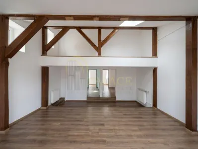 Cladire birouri 200 mp Zona Smardan Palas Prima inchiriere - foto 8