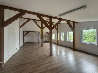 Cladire birouri 200 mp Zona Smardan Palas Prima inchiriere - foto 10
