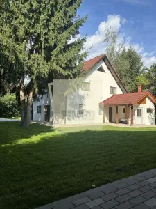 Casa de vacanta vs Afacere la cheie Valea Avrigului - foto 2