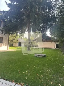 Casa de vacanta vs Afacere la cheie Valea Avrigului - foto 3