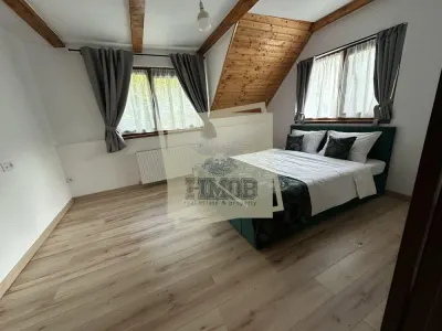 Casa de vacanta vs Afacere la cheie Valea Avrigului - foto 5