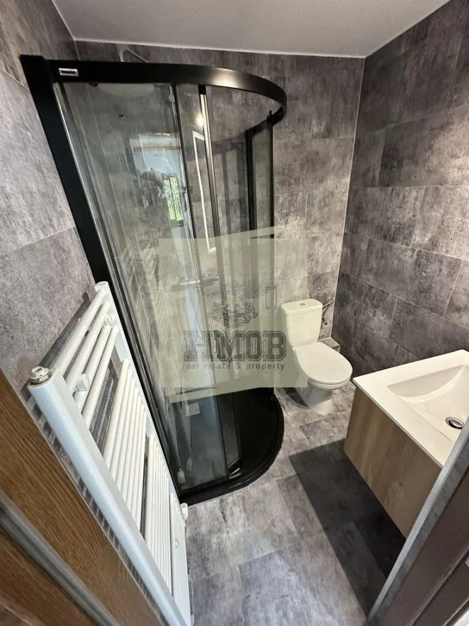 Casa de vacanta vs Afacere la cheie Valea Avrigului - foto 7