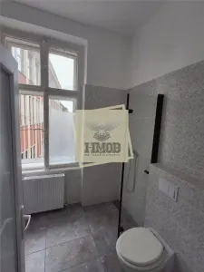 Apartament 2 camere 50 mpu si terasa zona 0 - foto 10